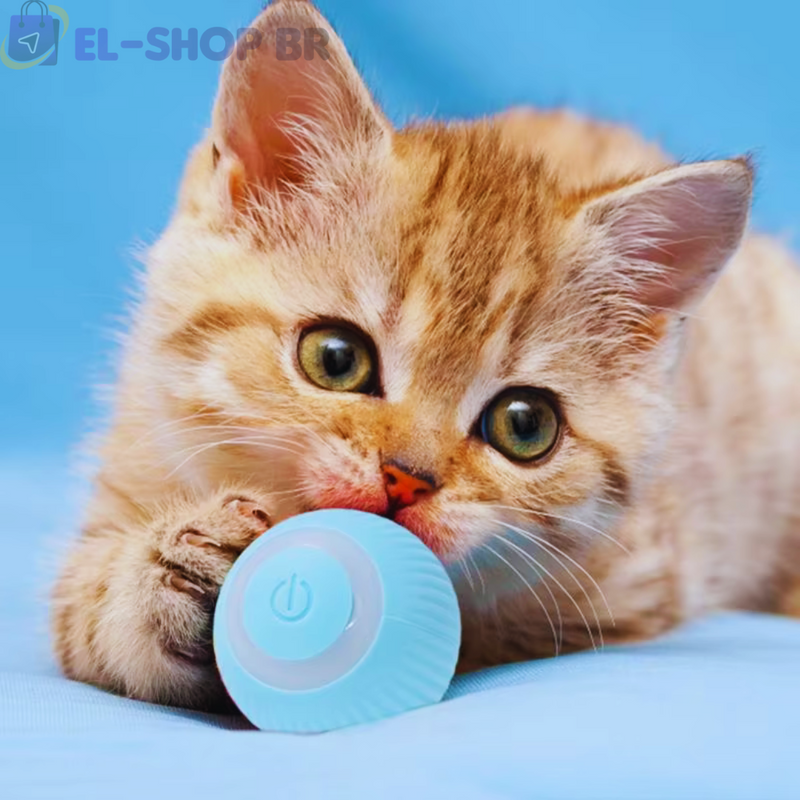 BALL SMART - BOLA INTERATIVA INTELIGENTE  PARA GATOS